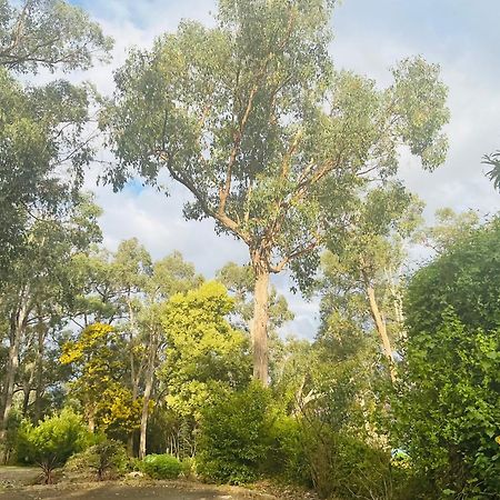 Sanctuary House Resort Motel Healesville Luaran gambar