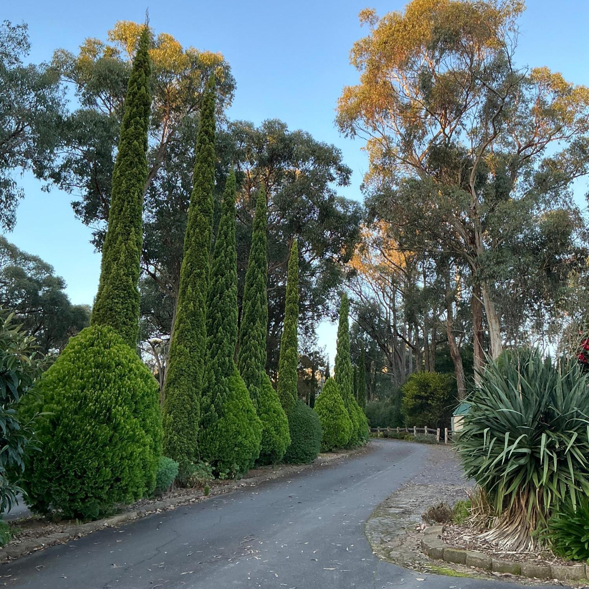 Sanctuary House Resort Motel Healesville Luaran gambar