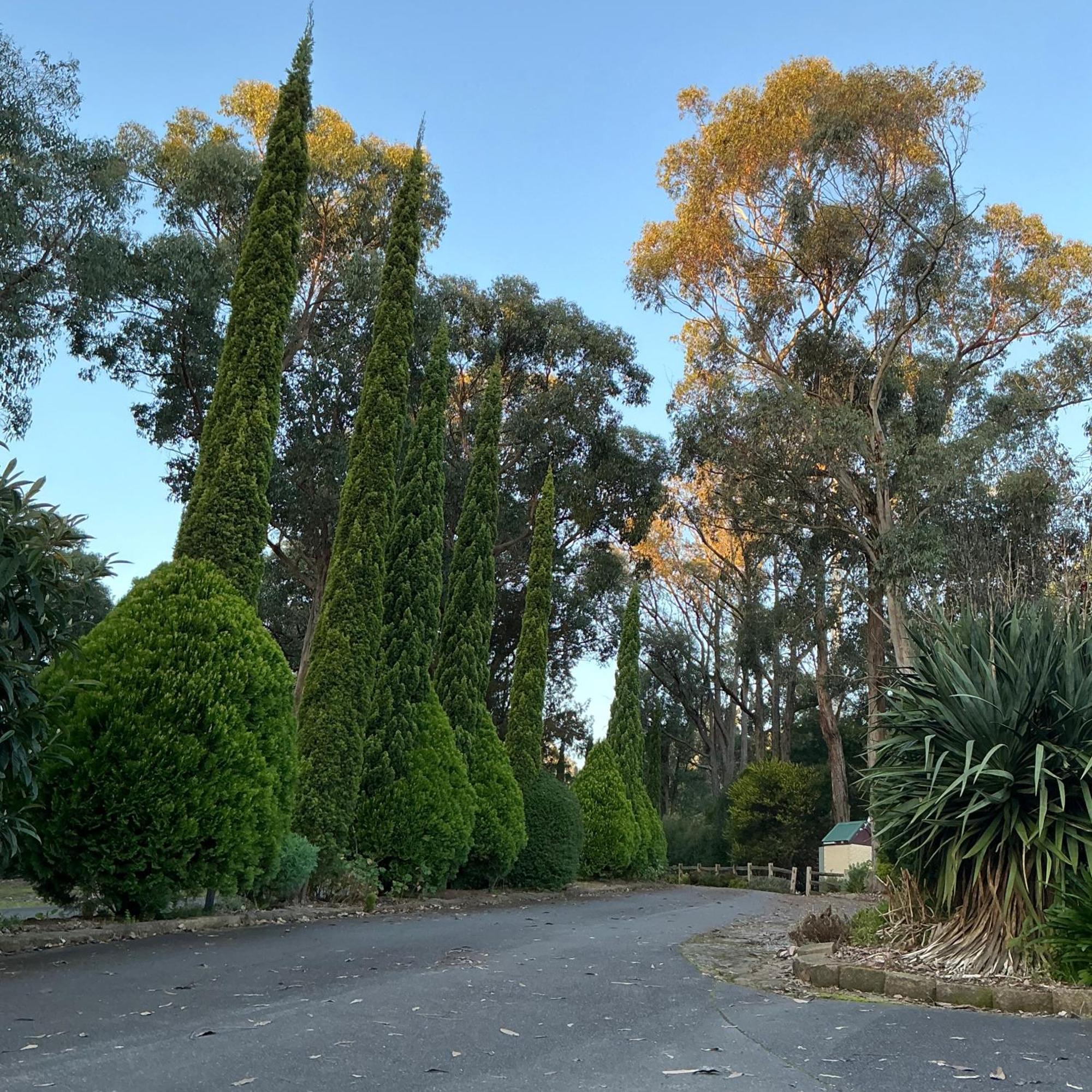 Sanctuary House Resort Motel Healesville Luaran gambar